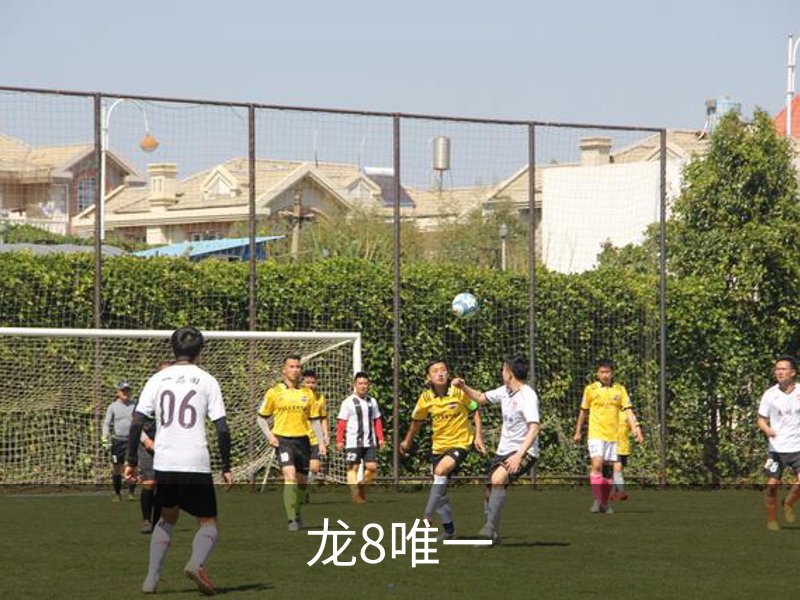 龙8唯一介绍